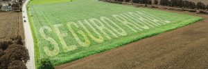 Aprovação na CCJ aprimora o Seguro Rural