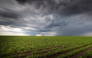 Será que chove? a previsão diz que sim