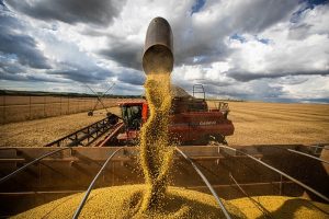 Agropecuária tem maior geração de empregos desde 2011