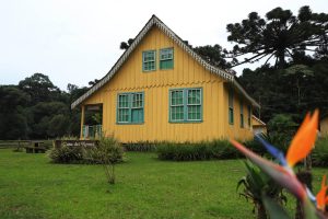 Paraná amplia atuação na apicultura e turismo rural