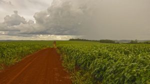 Dia deve ser de muito calor e chuva