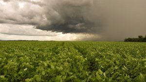 Será que a chuva vai continuar dando as caras?