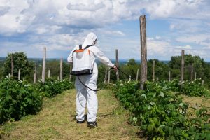 Habilitação para aplicadores de agrotóxicos ganha programa nacional