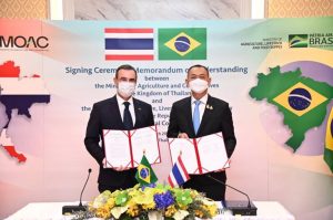 Brasil e Tailândia firmam parceria de cooperação agrícola