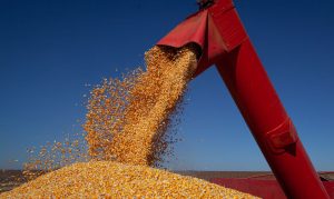 Valor Bruto da Produção Agropecuária pode chegar a R$ 1,2 trilhão