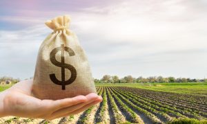 Crédito rural pode ter juros mais baixos