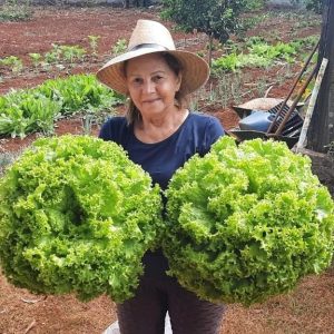 Horta da Cáritas beneficia famílias em vulnerabilidade