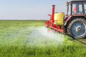 Guerra gera impactos, mas também dá oportunidades ao agro do PR