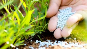 Líder global de alimentos vai fabricar fertilizantes no Brasil