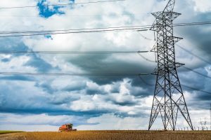 Perto das redes de energia, todo cuidado é pouco