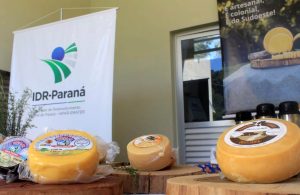 Conheça a nova Rota do Queijo Paranaense