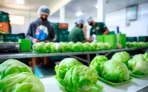 Parceria vai aumentar certificação de produtores orgânicos no PR