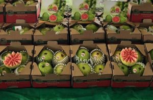 Produtores paranaenses conquistam selo global e ganham mercado externo