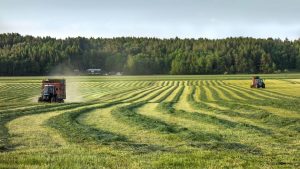 Alienação de Título de Dívida Agrária não é antecipação de receita