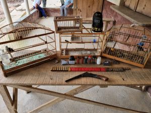 Animais silvestres eram mantidos em cativeiro ilegal