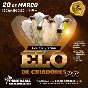 Domingo é dia de Leilão Virtual Elo de Criadores