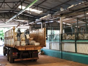 Agricultor dá exemplo e faz correta destinação de embalagens