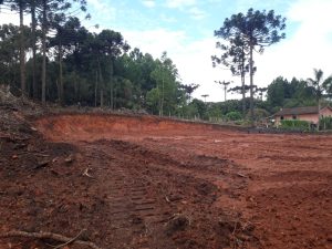 Produtores podem quitar multas do Ibama com desconto de até 50%