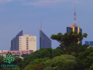 Araucária sob o olhar do fotógrafo Celso Dias