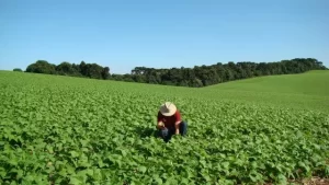 Quer ser um líder rural? Tem curso com vaga aberta