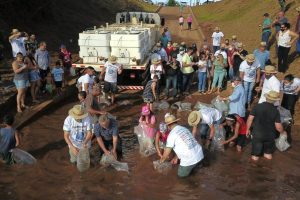 Agricultores do Paraná repovoam rios com 770 mil peixes
