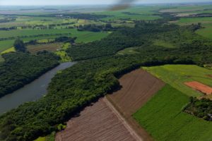 Futuro do agronegócio depende de sustentabilidade e inovação