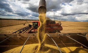 PIB paranaense cresce mesmo com retração na agropecuária