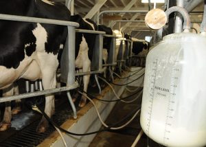 Custo alto da produção leiteira é um grande desafio do setor
