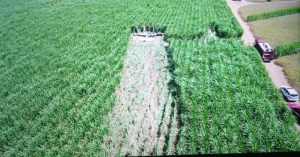 Avião suspeito de ser do crime organizado cai em fazenda