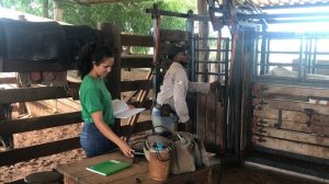 Programa capacita quem vai seguir carreira no agro