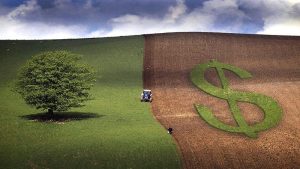 Cadê o dinheiro? Saiba o que fazer se a indenização do seguro rural atrasar