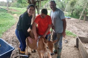 Dieta balanceada aumenta a produção do gado leiteiro