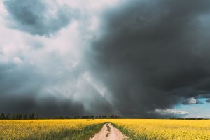 Chuva é a realidade do dia