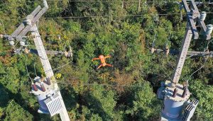 Drone da Copel é derrubado a tiros em área rural do Paraná
