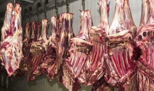 Inspeção de produtos de origem animal deve ser ampliada