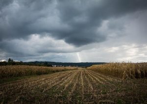 Próximos dias serão de chuva e muito calor