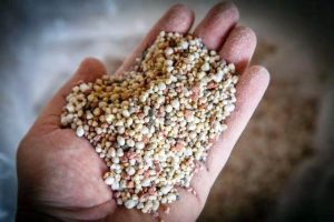 Os contratos futuros e o impacto dos fertilizantes