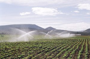 Plano Nacional de Fertilizantes será debatido no Senado