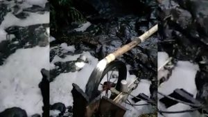 Agricultora denuncia: água de rio está preta, com espuma e cheiro forte