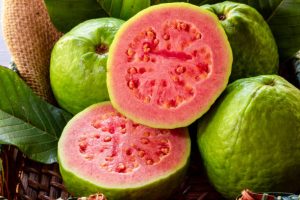 Nova praga ameaça produção de goiabas