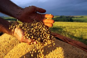 O que esperar para a segunda safra? CNA debate condições do clima
