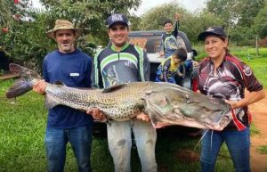 Família pesca pintado de 44 quilos no Paranazão