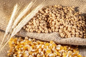 Menos produto no mercado? alta geral de preços acende alerta