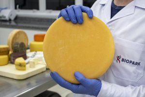 Suíço traz para a região experiência com queijos