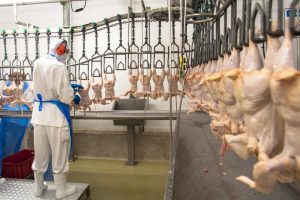 Exportação de frango teve o melhor fevereiro da história