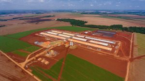 Oeste conta com nova unidade de produção de suínos