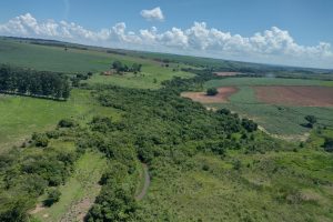 “Metade da área preservada de vegetação no Brasil é mantida por agricultores”, rebate CNA, sobre fala do presidente da Apex Brasil