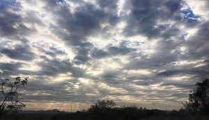 Sol deve predominar no Paraná