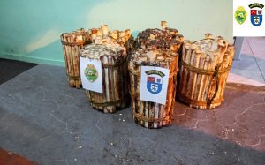 Transporte ilegal de palmito gera multa de R$ 160 mil