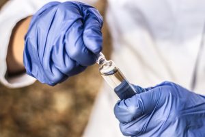 Fabricação de produtos veterinários não terá testes em animais